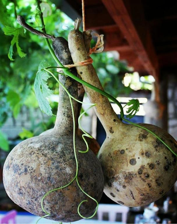 Bedirhan Konak Otel Alaçatı